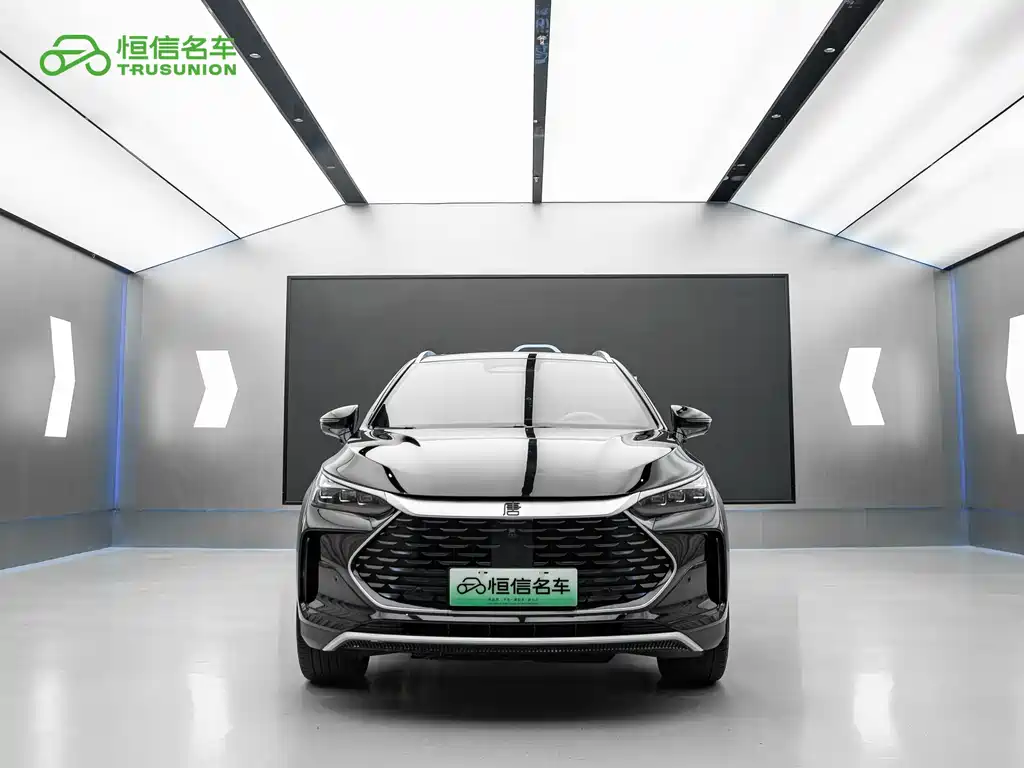 BYD Tang New Energy — миниатюра 2