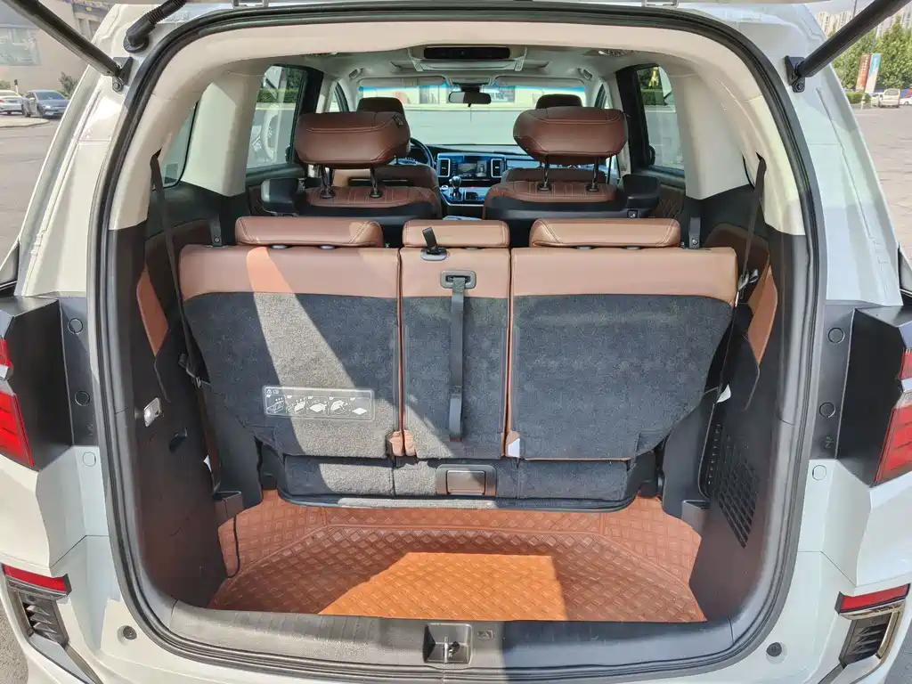 Honda Elysion — миниатюра 16