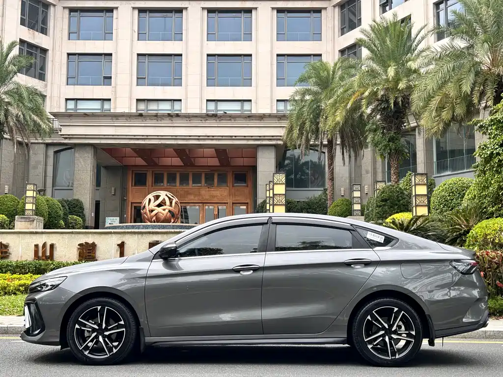 GEELY AUTOMOBILE BINRUI