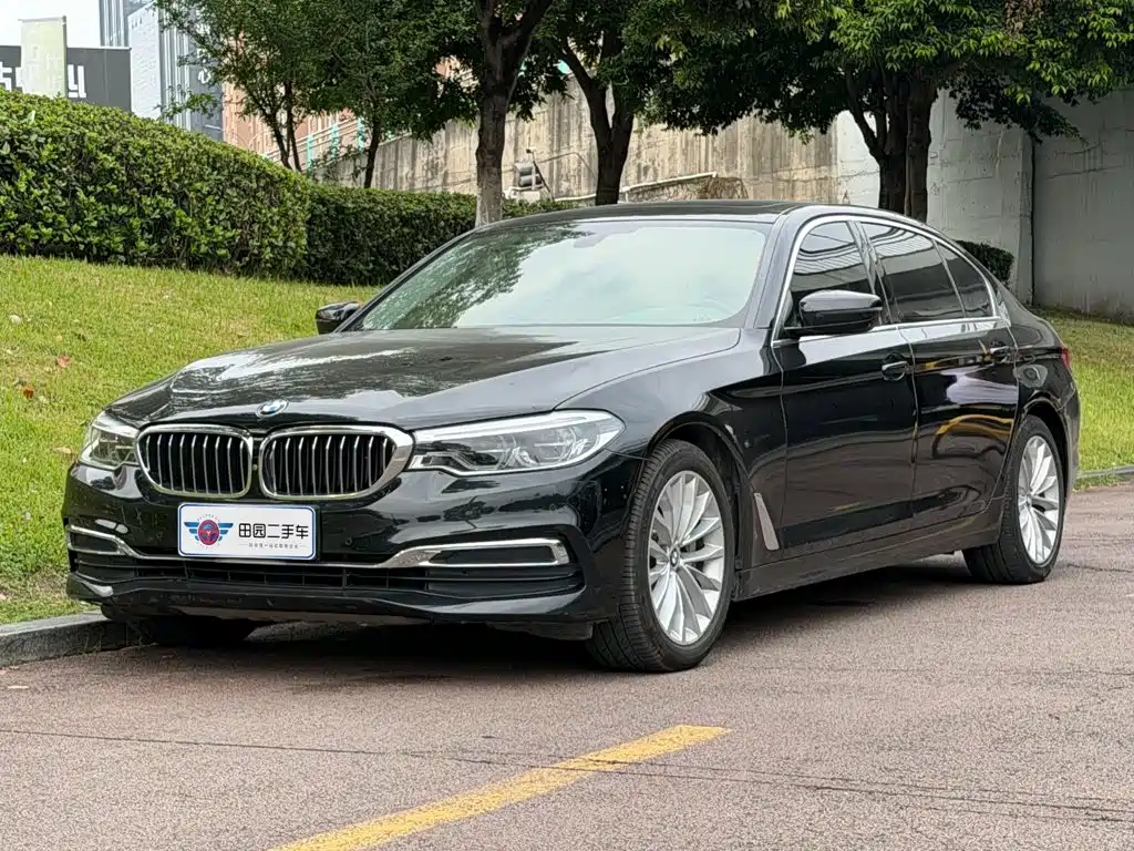 BMW 5 Series 5 2020 530Li Premium Luxury