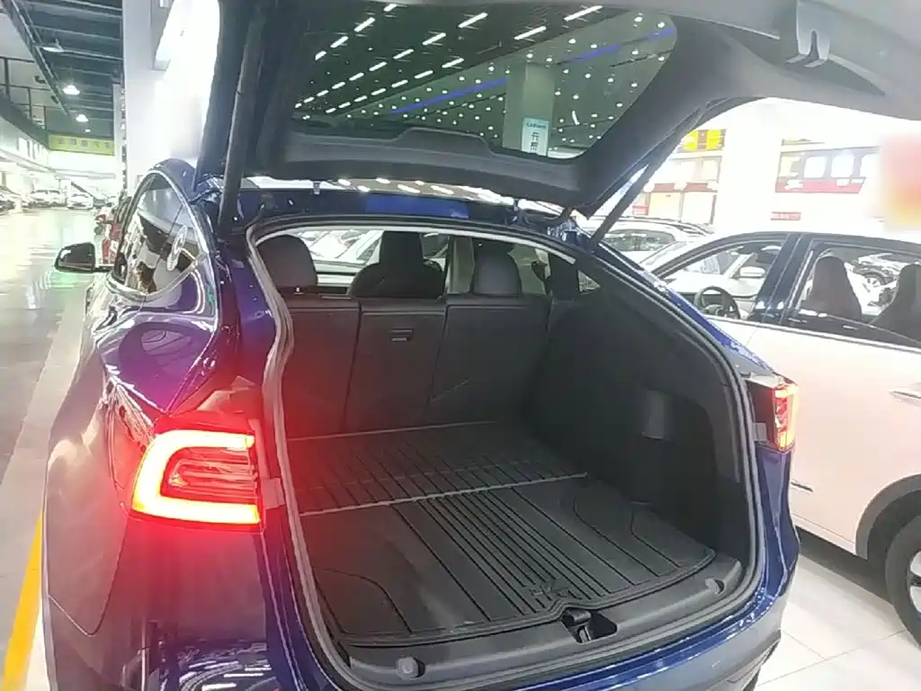 Tesla Model Y — миниатюра 19