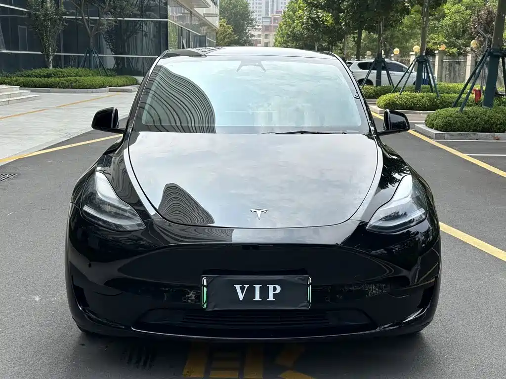 Tesla Model Y — миниатюра 2
