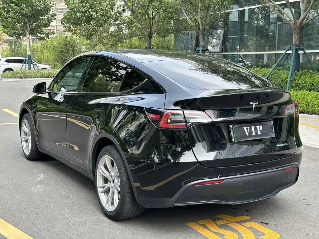 Tesla Model Y — миниатюра 4
