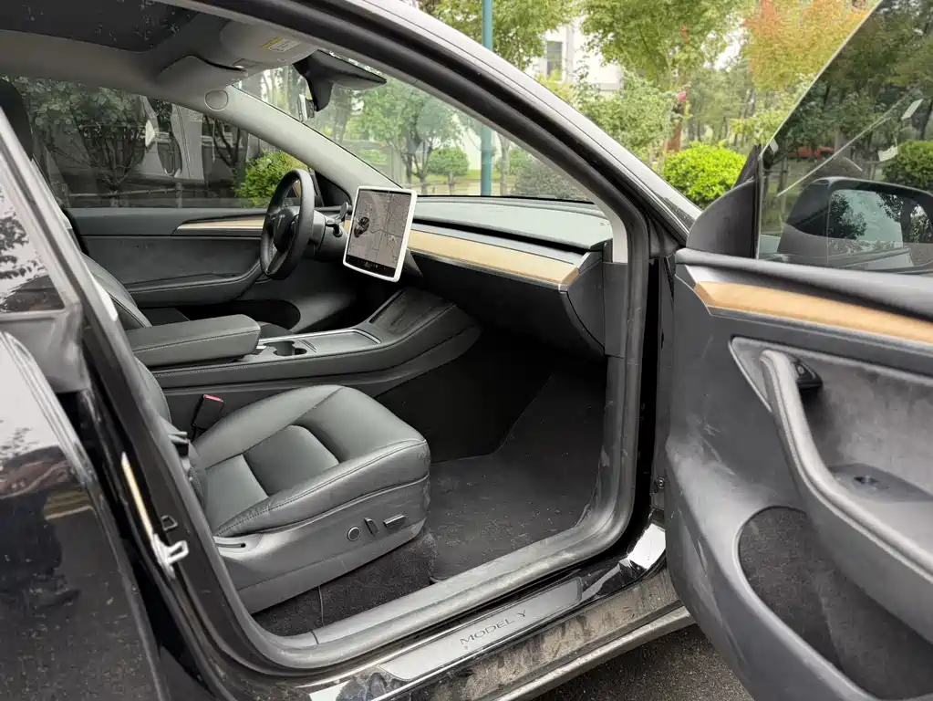 Tesla Model Y — миниатюра 11