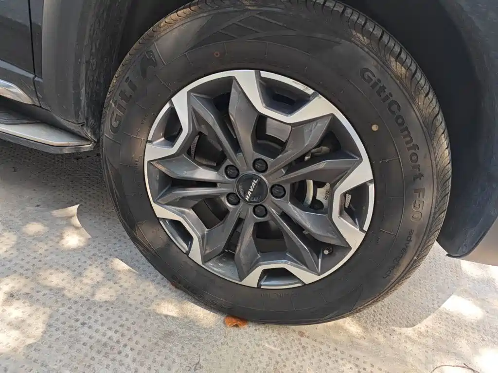 Haval 长城大狗 — миниатюра 24