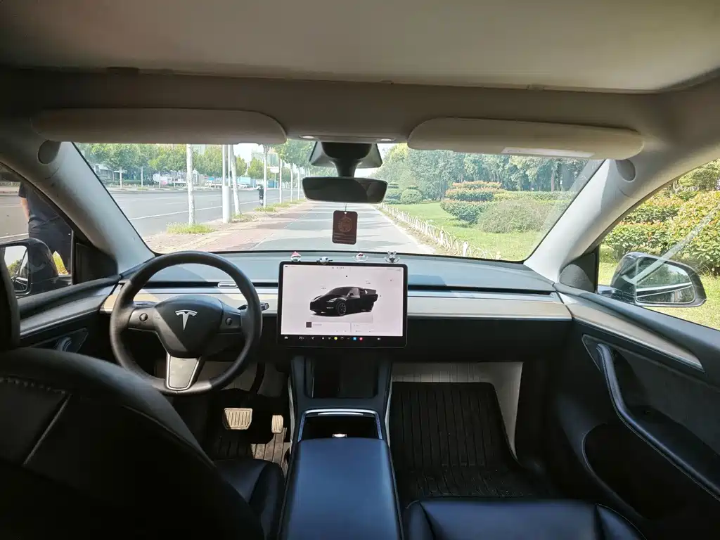Tesla Model Y — миниатюра 6