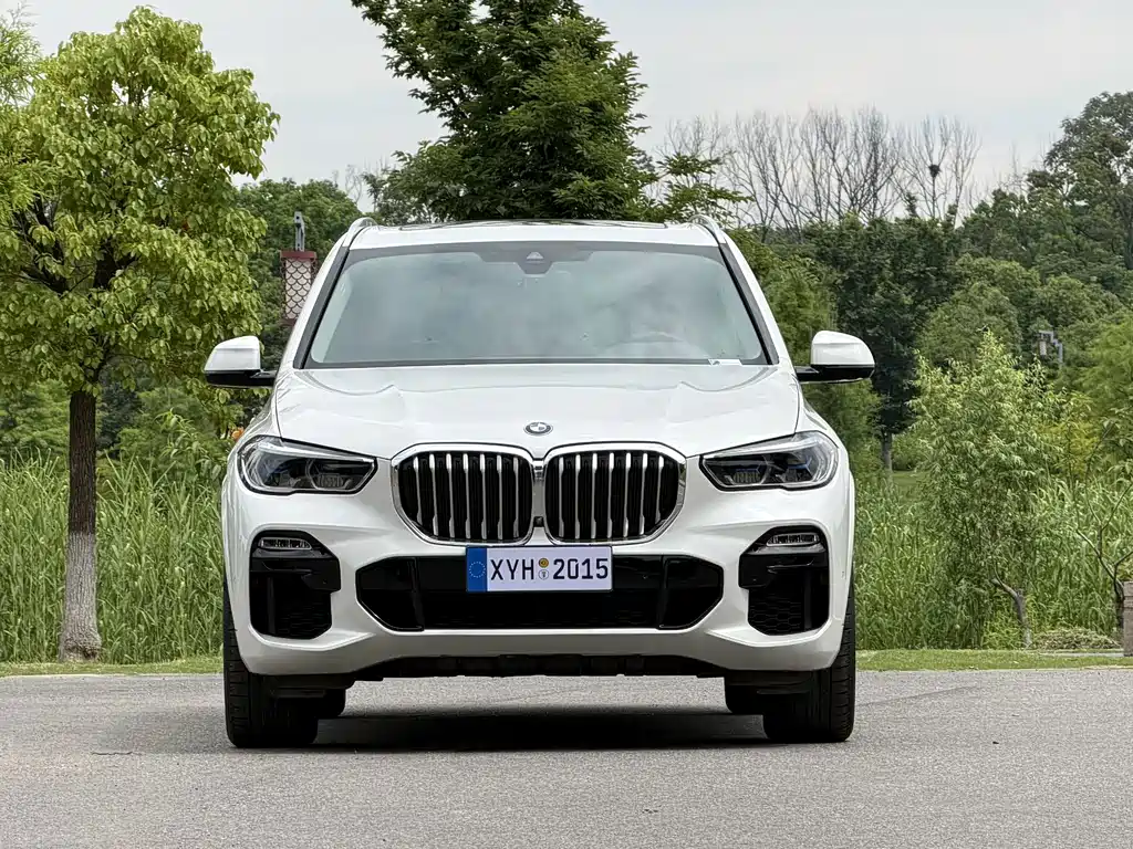 BMW X5 (Import) — миниатюра 2