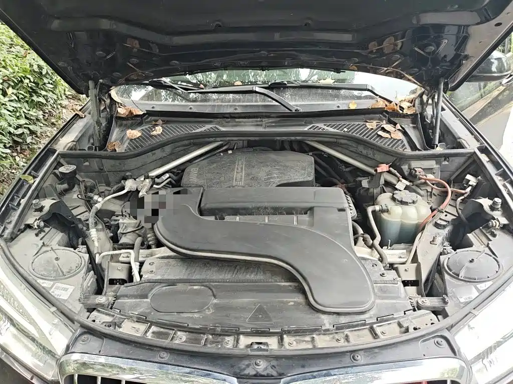 BMW X5 (Import) — миниатюра 21