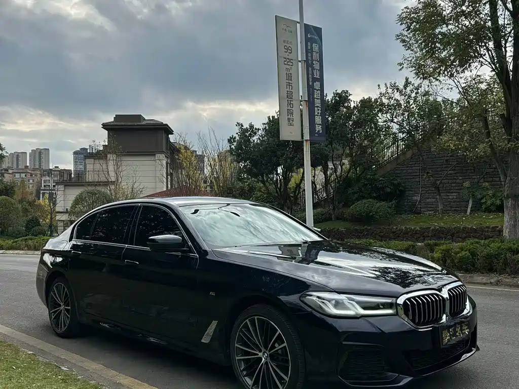 BMW 5 Series — миниатюра 3