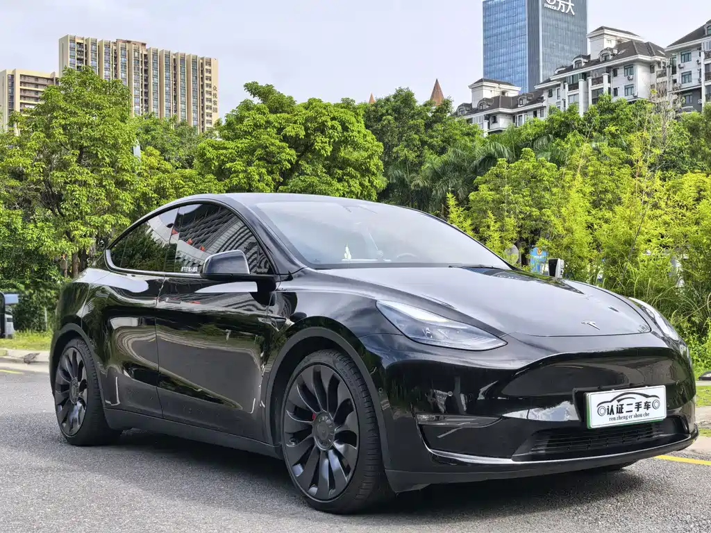 Tesla Model Y 2022 Performance