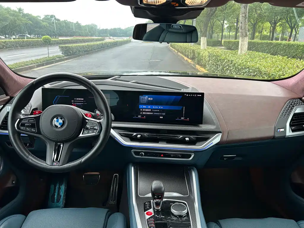 BMW XM Basic Type, фото 13