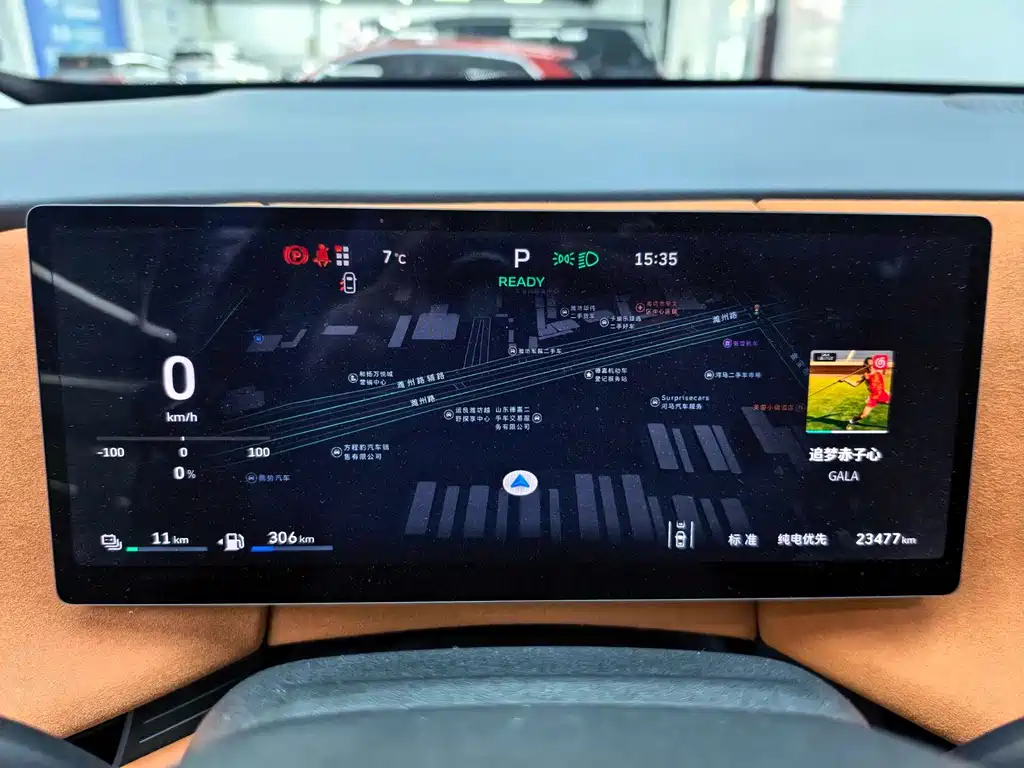 WEI PAI WEI BRAND BLUE MOUNTAIN