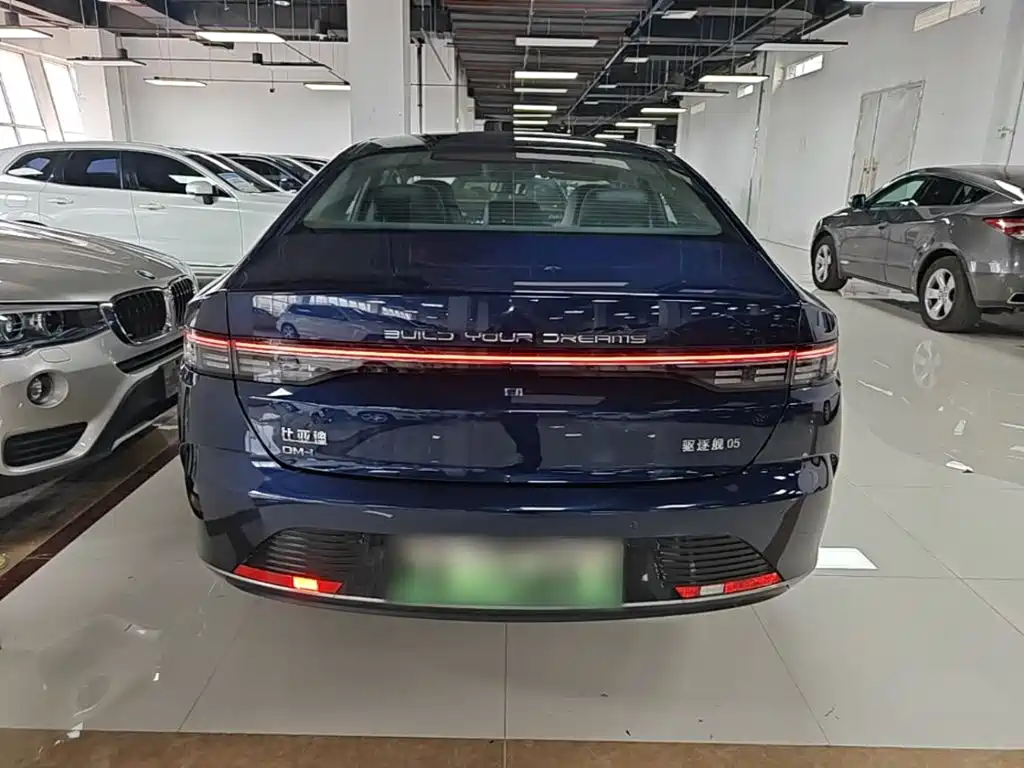BYD Destroyer 05 2024 DM-i 55KM Luxury