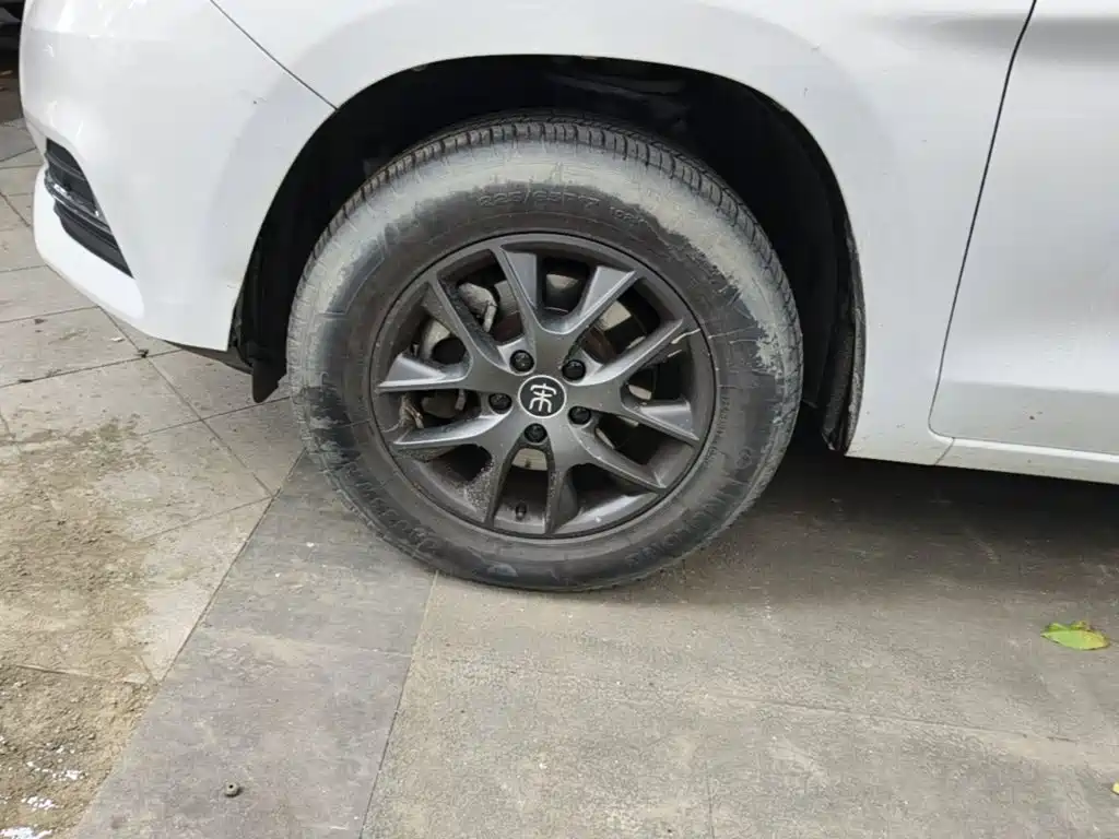 BYD Song — миниатюра 23