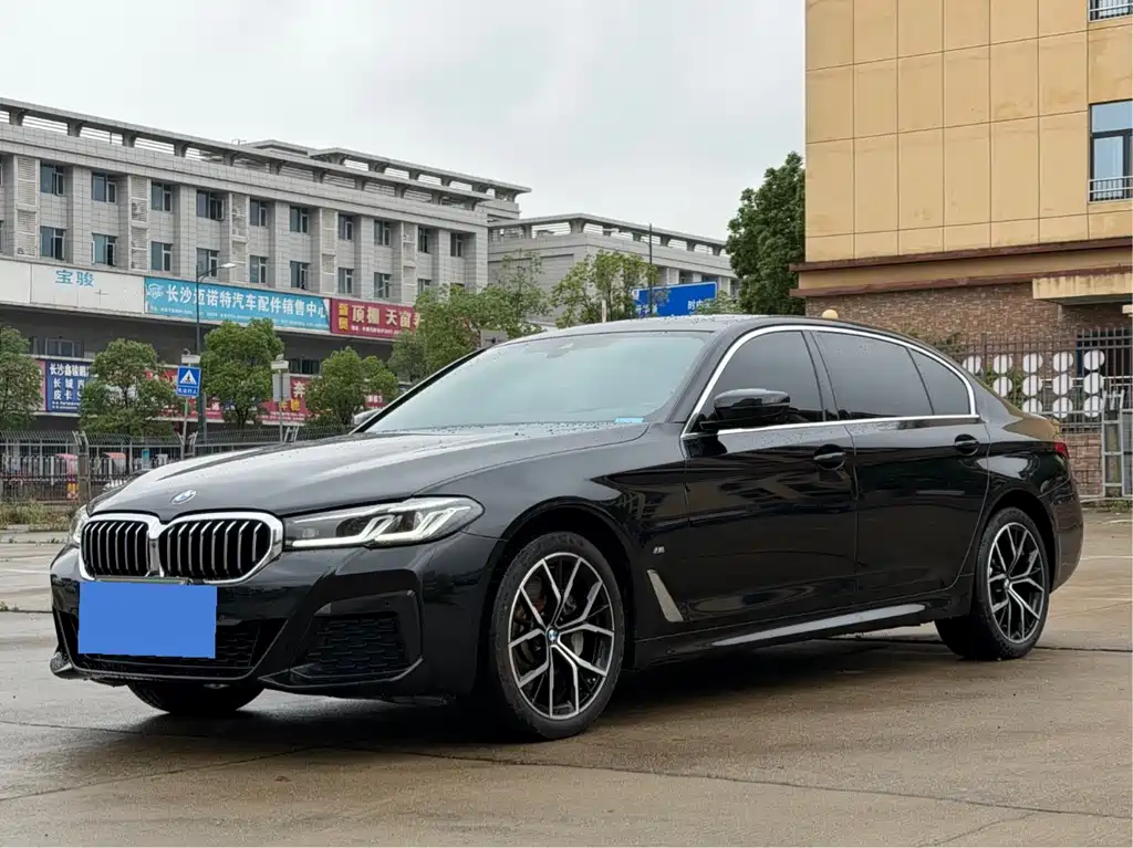 Купить BMW 5 Series