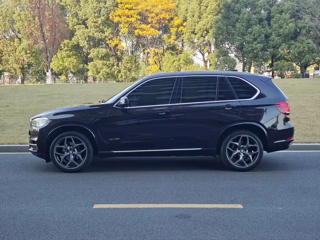 BMW X5 2014 xDrive35i Lead