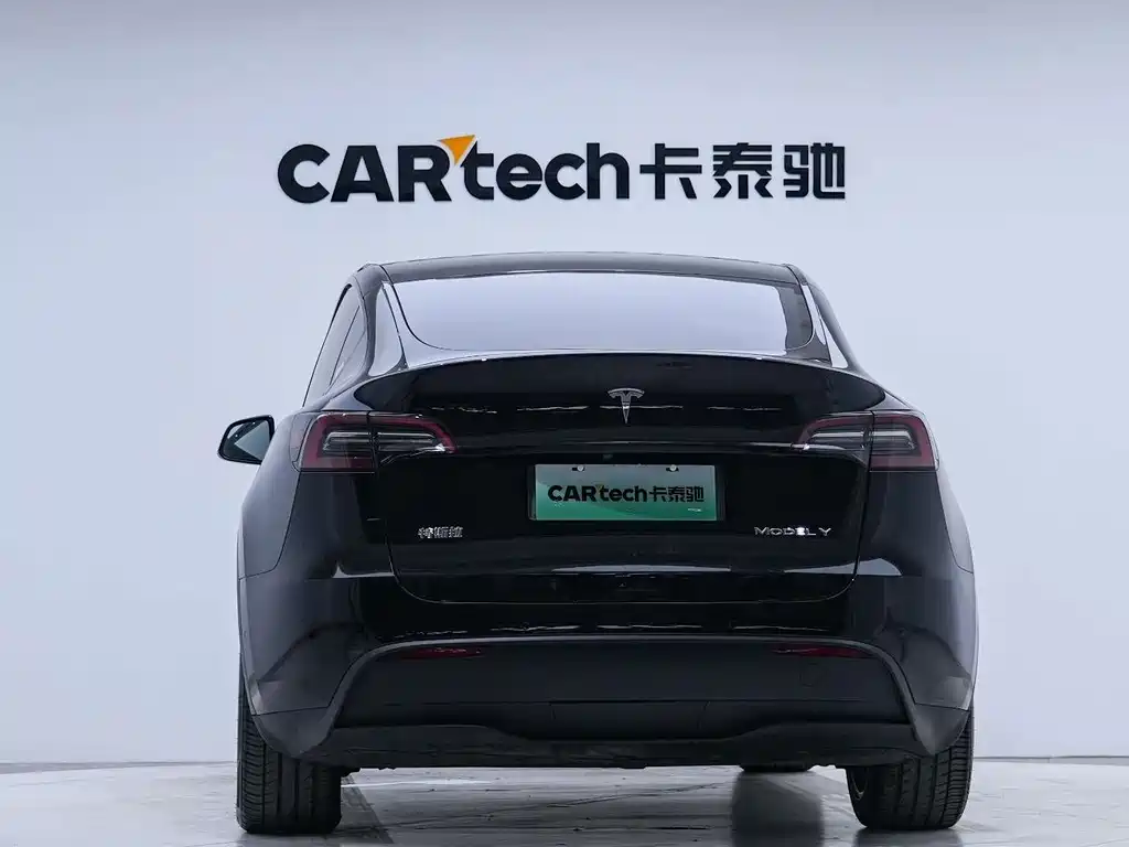 Tesla Model Y — миниатюра 5