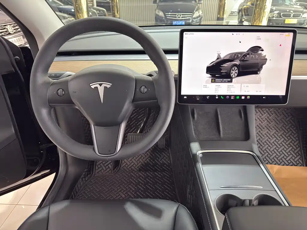 Tesla Model Y — миниатюра 14