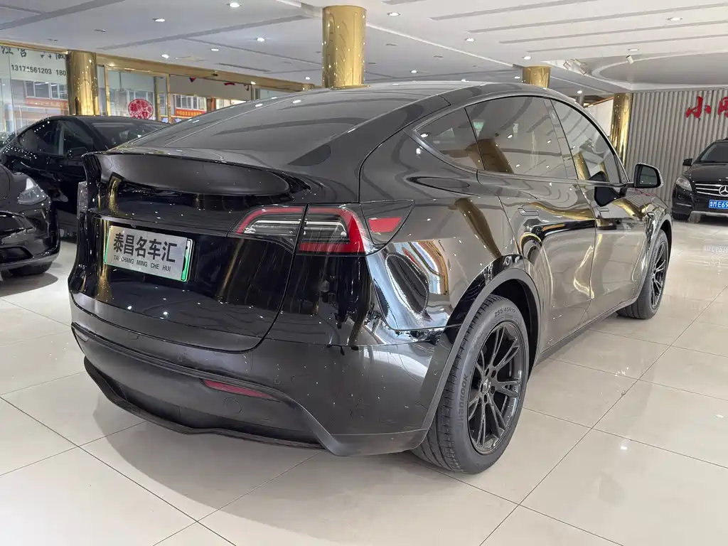 Tesla Model Y — миниатюра 6