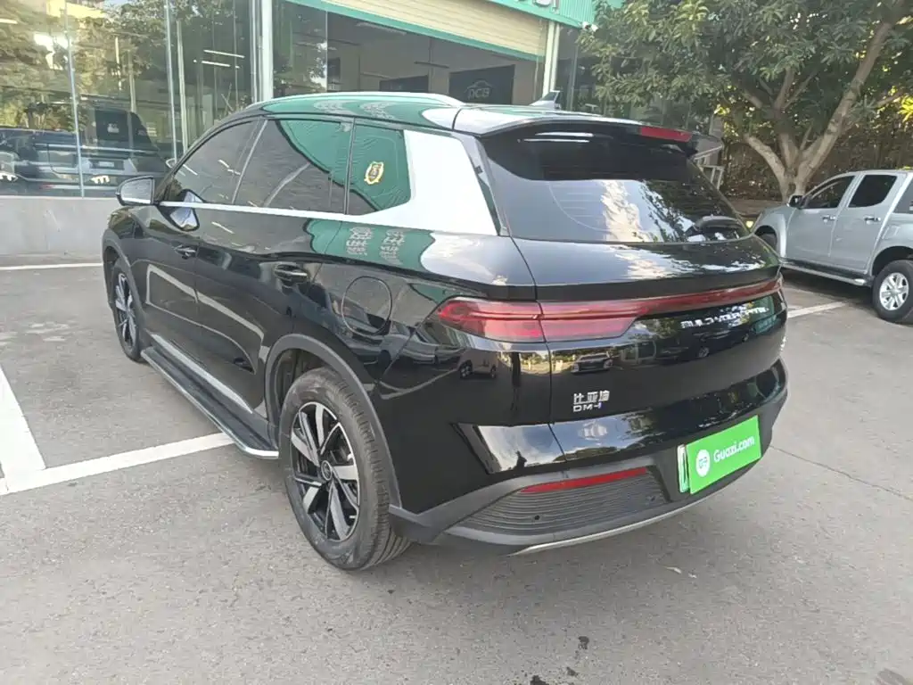 BYD Pro New Energy — миниатюра 5