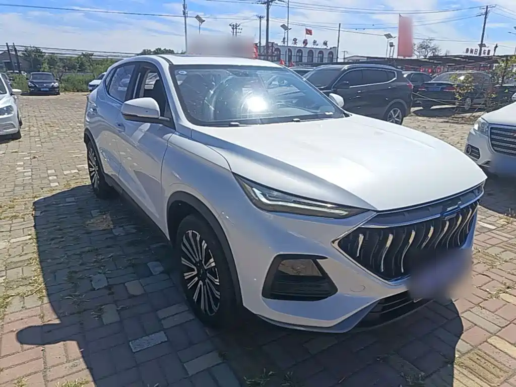 Oshan Oushang X5 — миниатюра 4