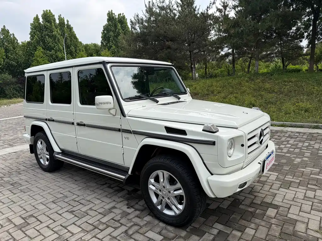 Mercedes-Benz G-Class G 2010 G 500