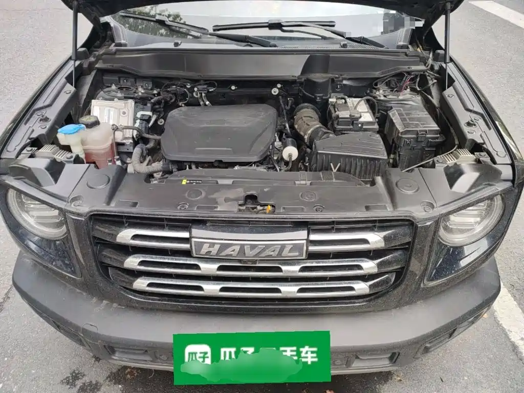 Haval 长城大狗 — миниатюра 16