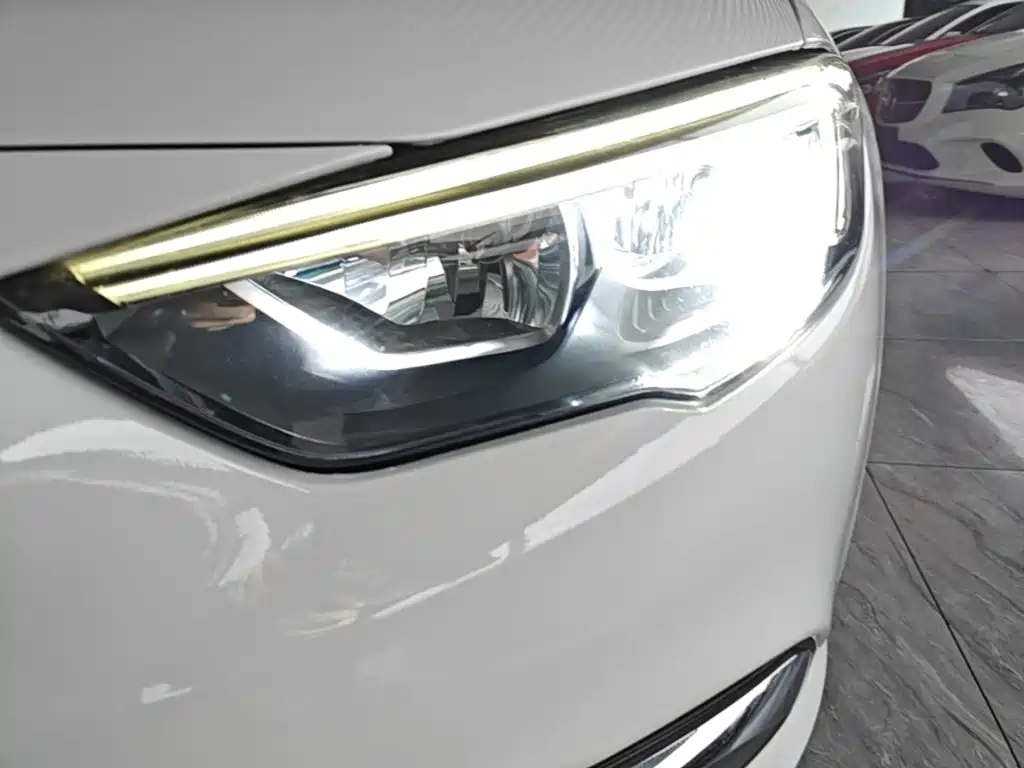 Buick Regal — миниатюра 24