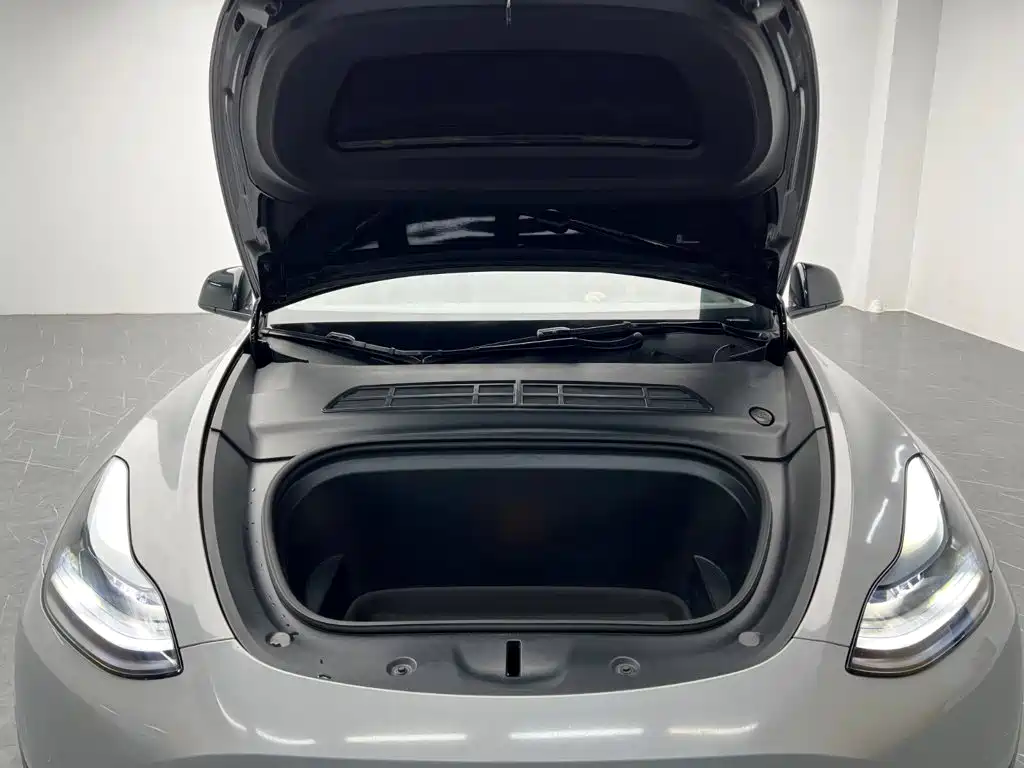 Tesla Model Y — миниатюра 9