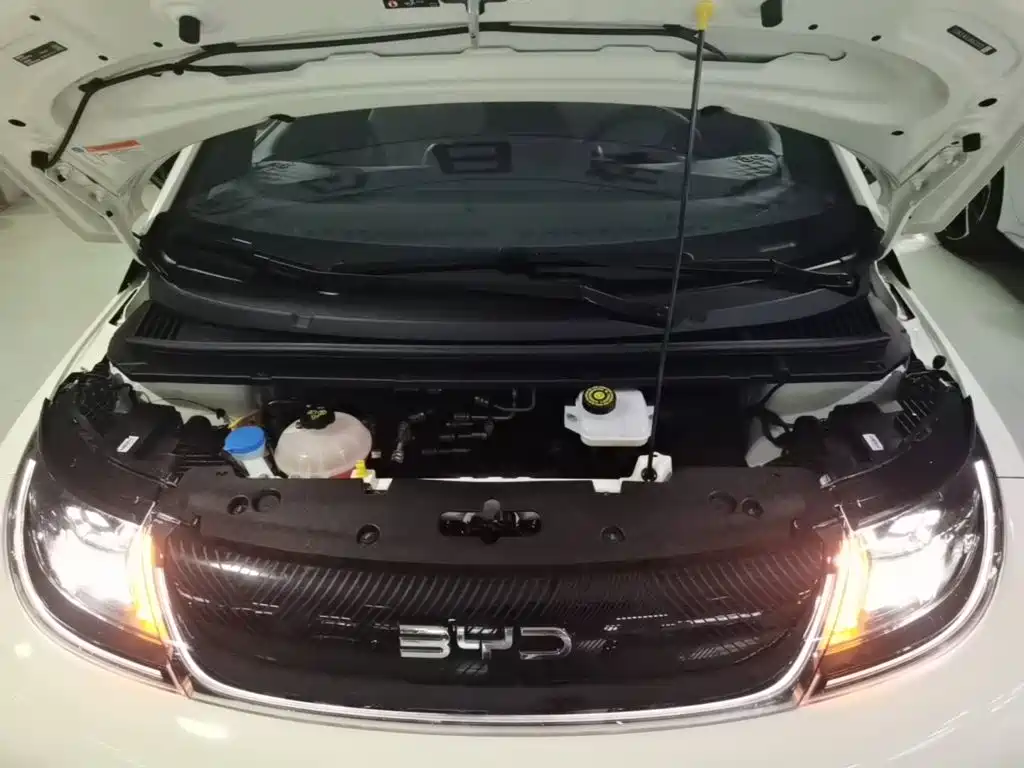 BYD Dolphin — миниатюра 20