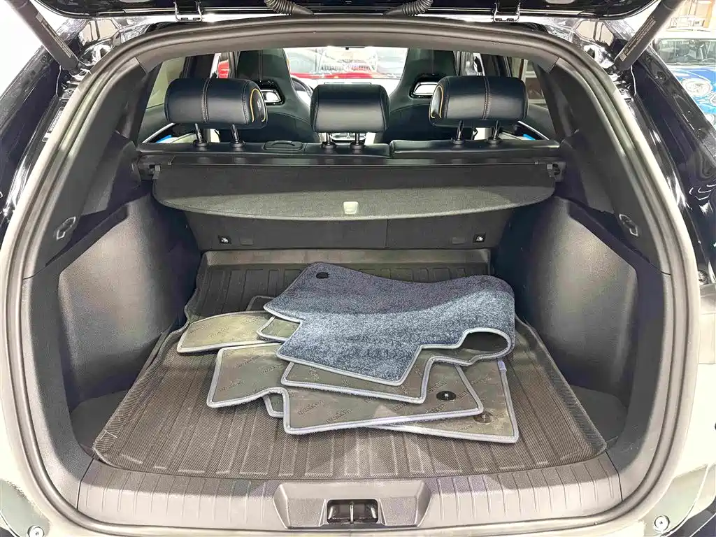 BYD PLUS New Energy — миниатюра 27