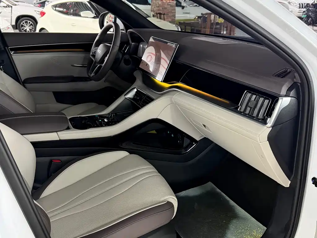 BYD PLUS New Energy — миниатюра 7