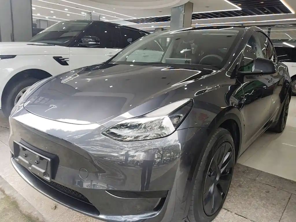 Tesla Model Y — миниатюра 2
