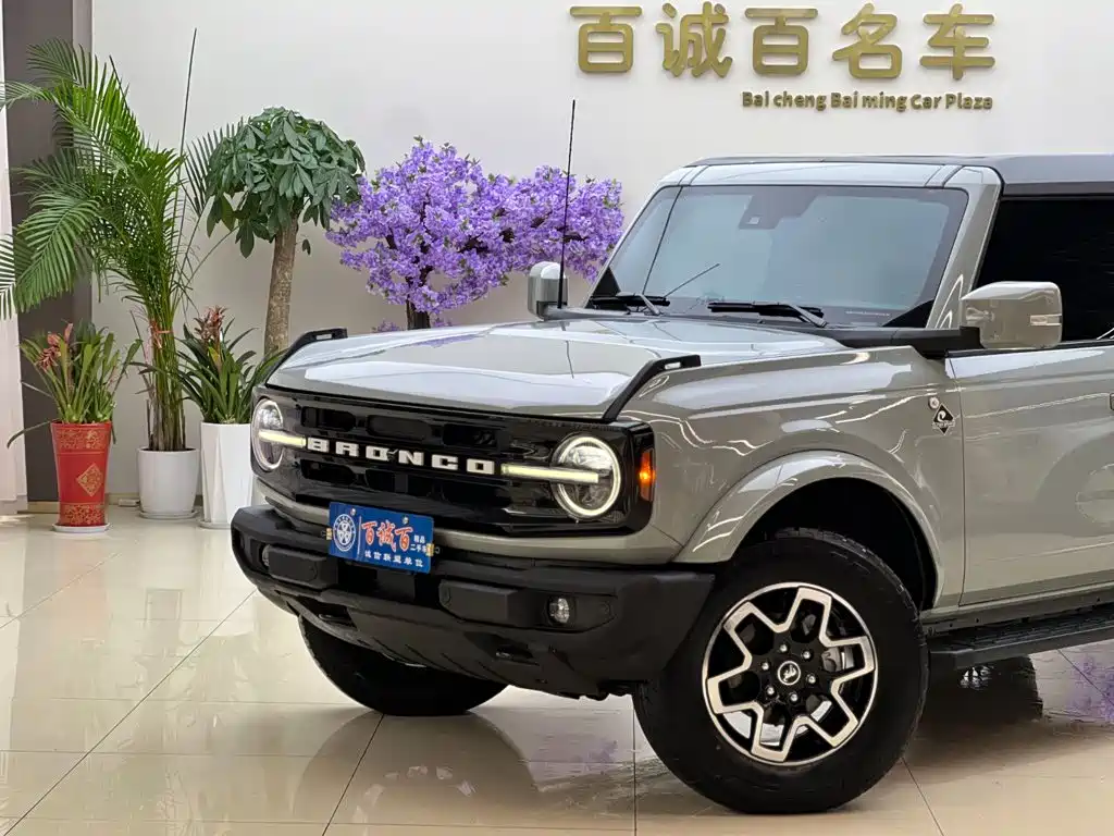 Ford Bronco (Import) — миниатюра 2
