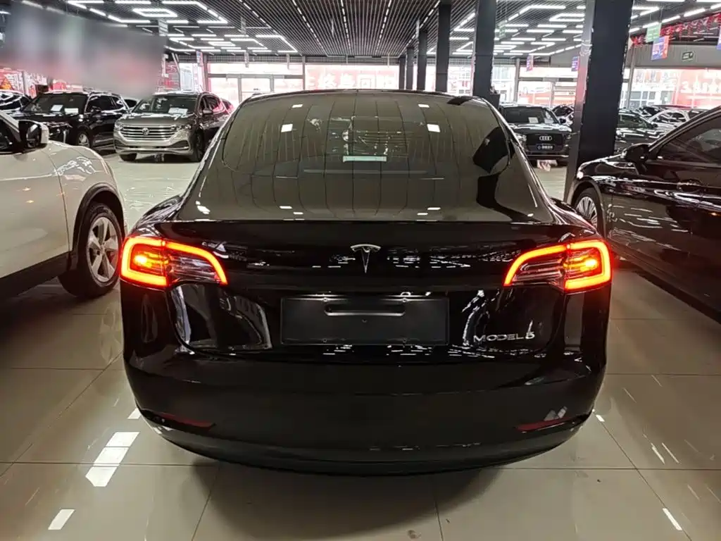 Tesla Model 3 — миниатюра 6