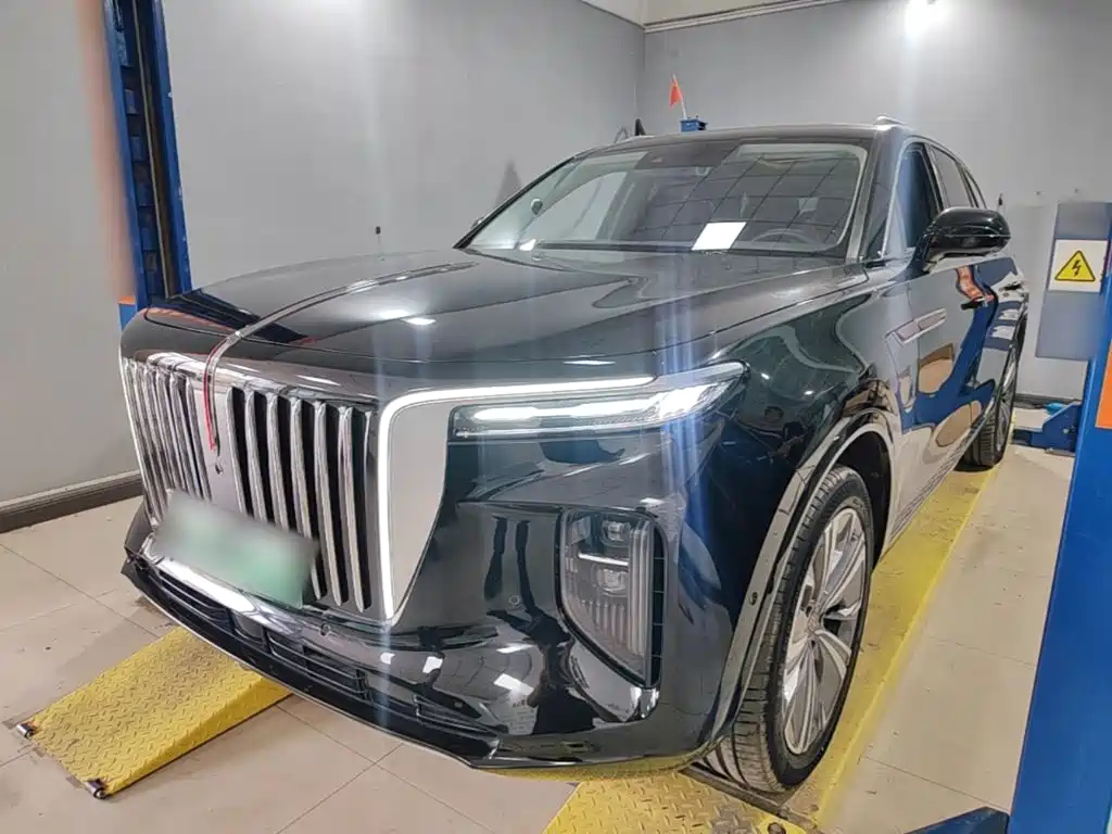 Hongqi Hongqi E-HS9 — миниатюра 2