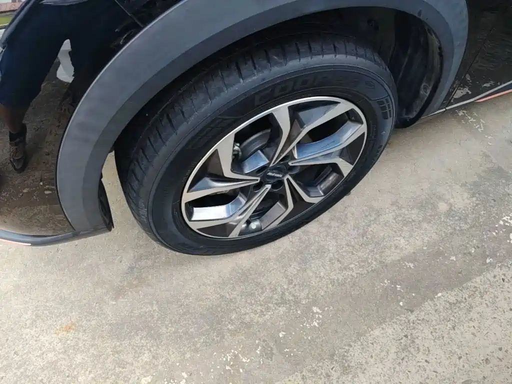 Haval Shenshou — миниатюра 23