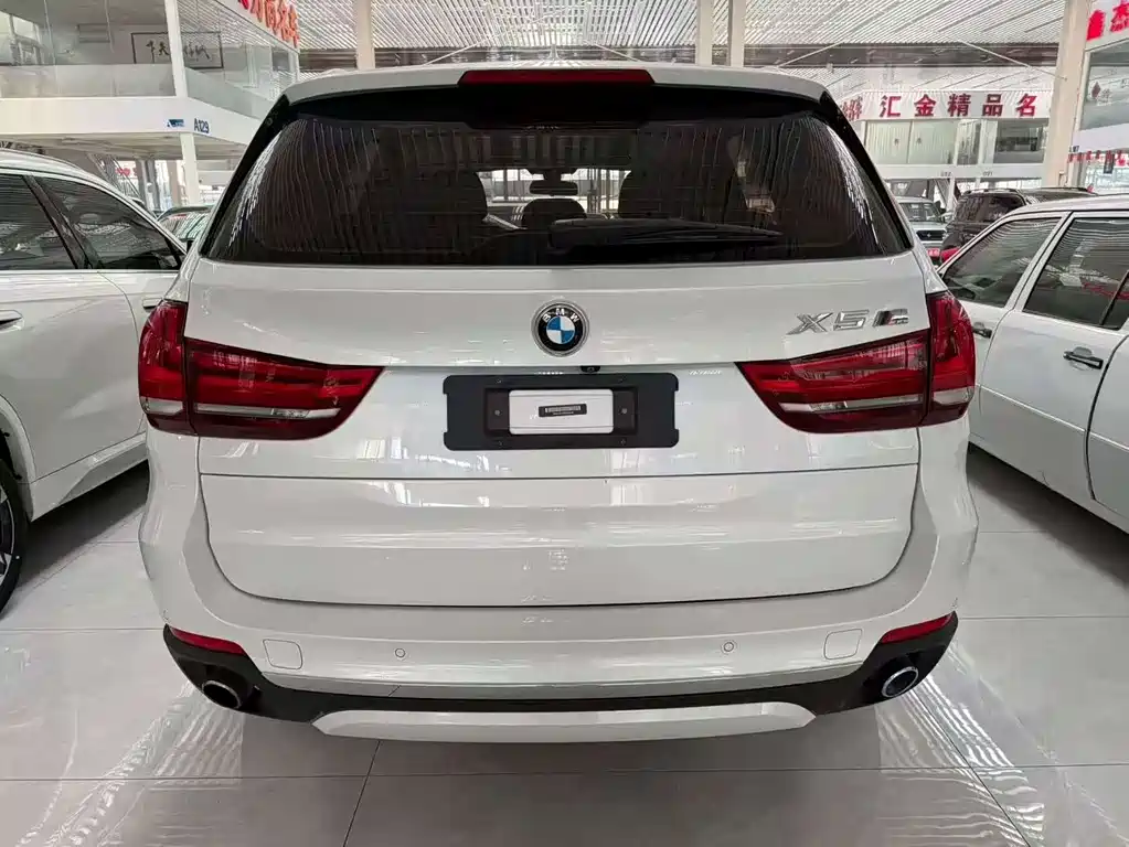 BMW X5 (Import) — миниатюра 2
