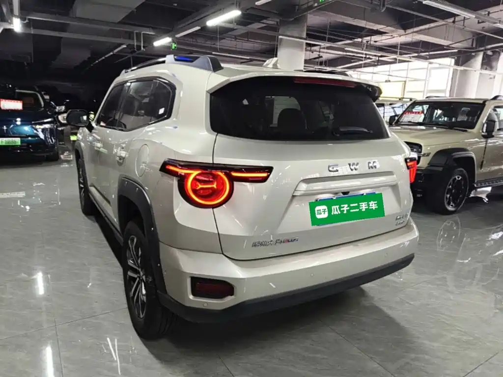 Haval Big Dog PLUS — миниатюра 5