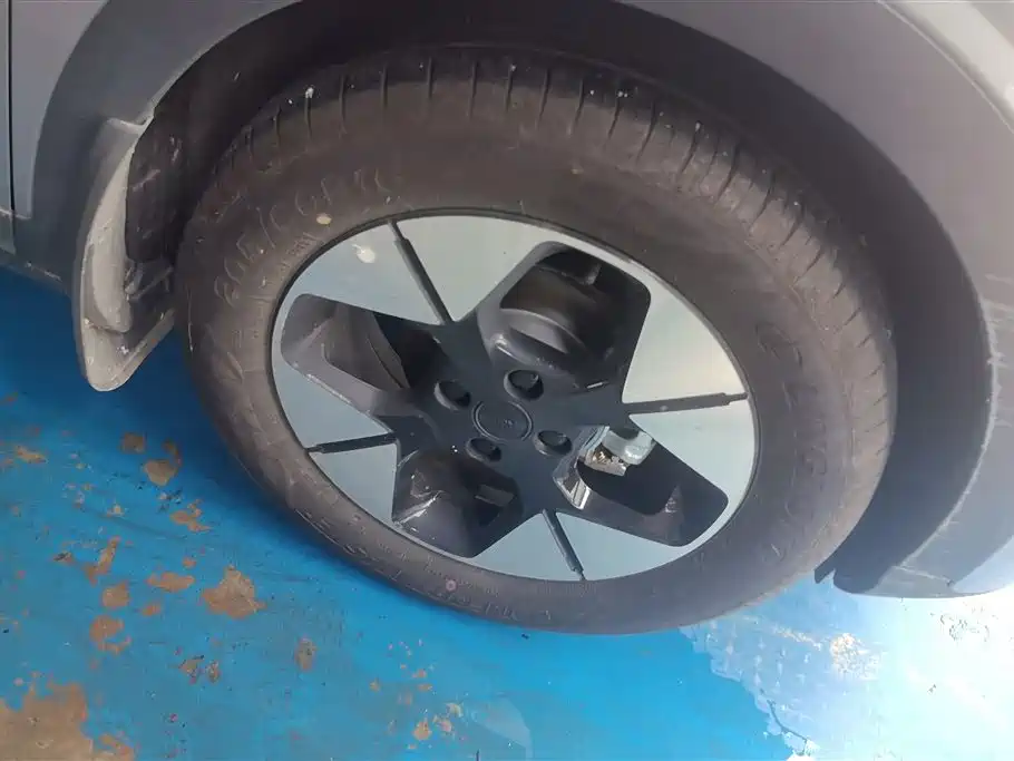 Geely Geome Xingyuan 2025 310km
