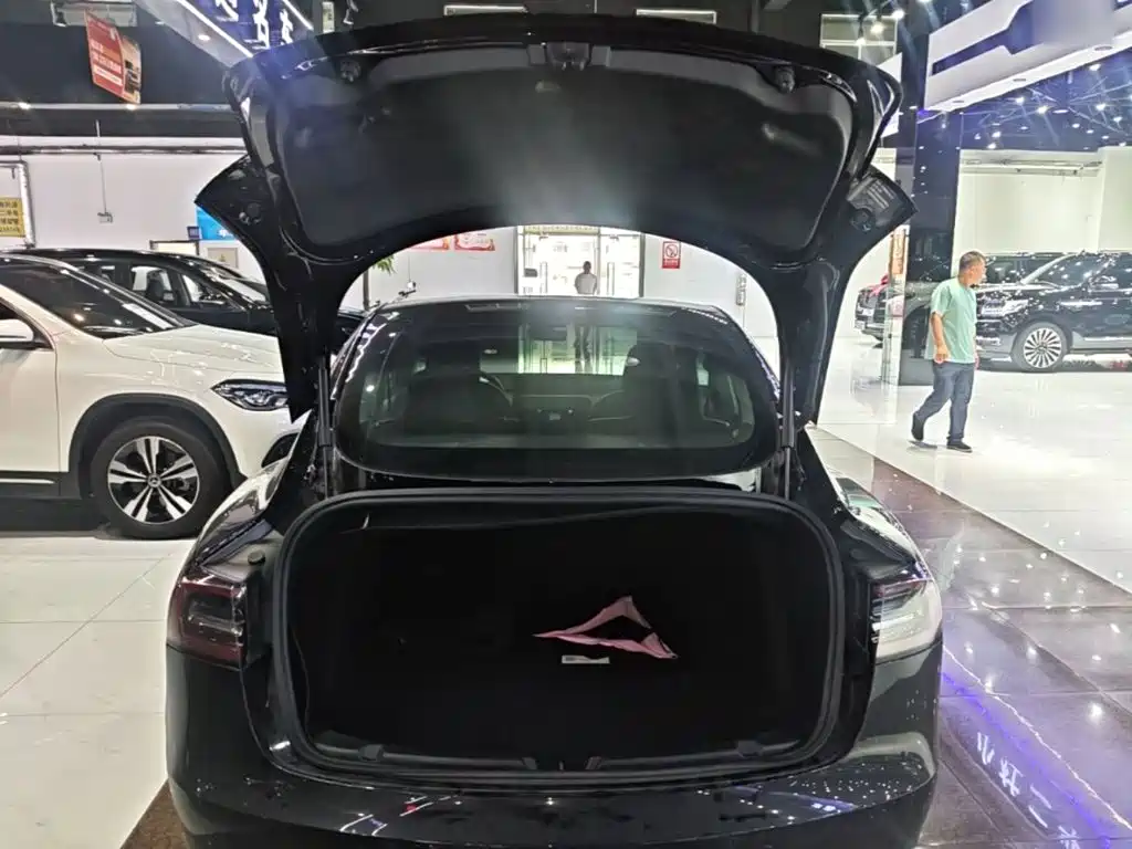 Tesla Model 3 — миниатюра 19