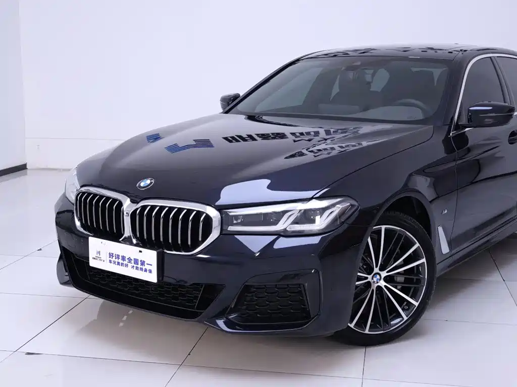 BMW 5 Series — миниатюра 3