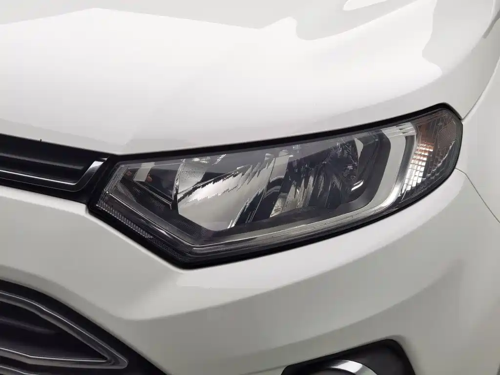 Ford Ecosport — миниатюра 25