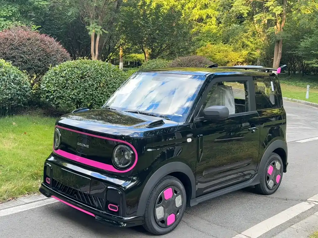 GEELY GALAXY PANDA