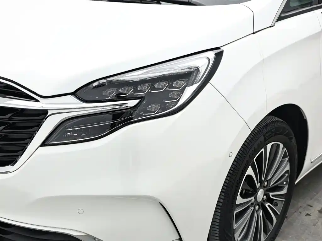 Buick GL8 — миниатюра 18