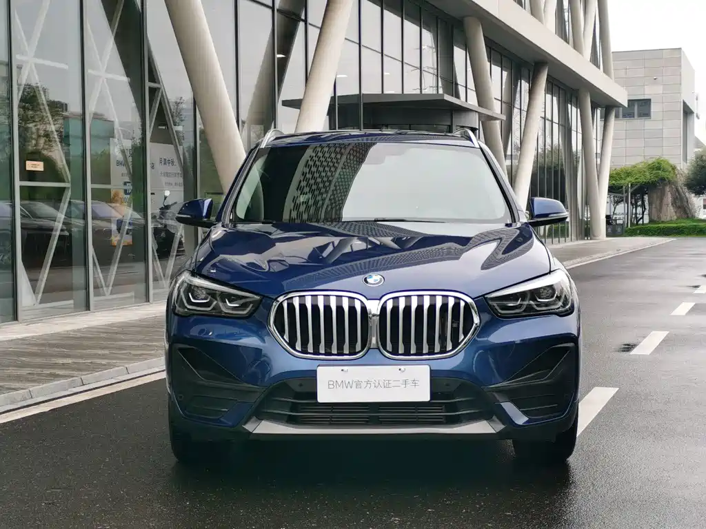 BMW X1 — миниатюра 2