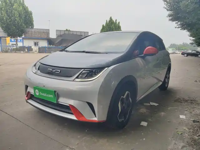 2022 BYD Dolphin
