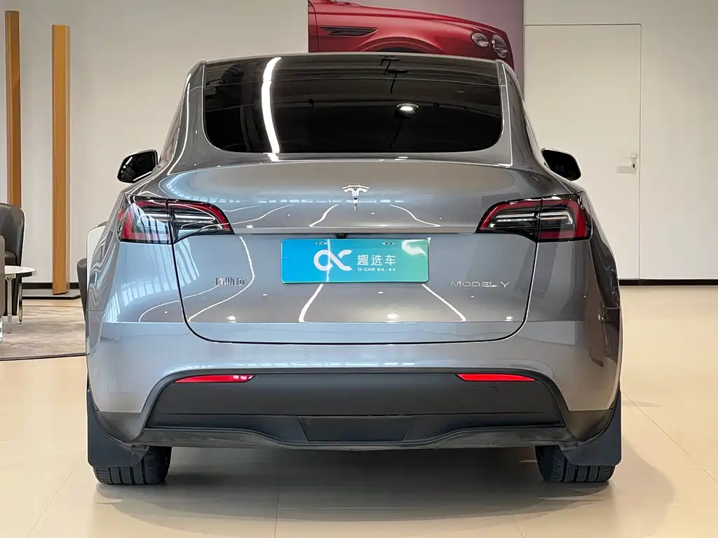 Tesla Model Y — миниатюра 6
