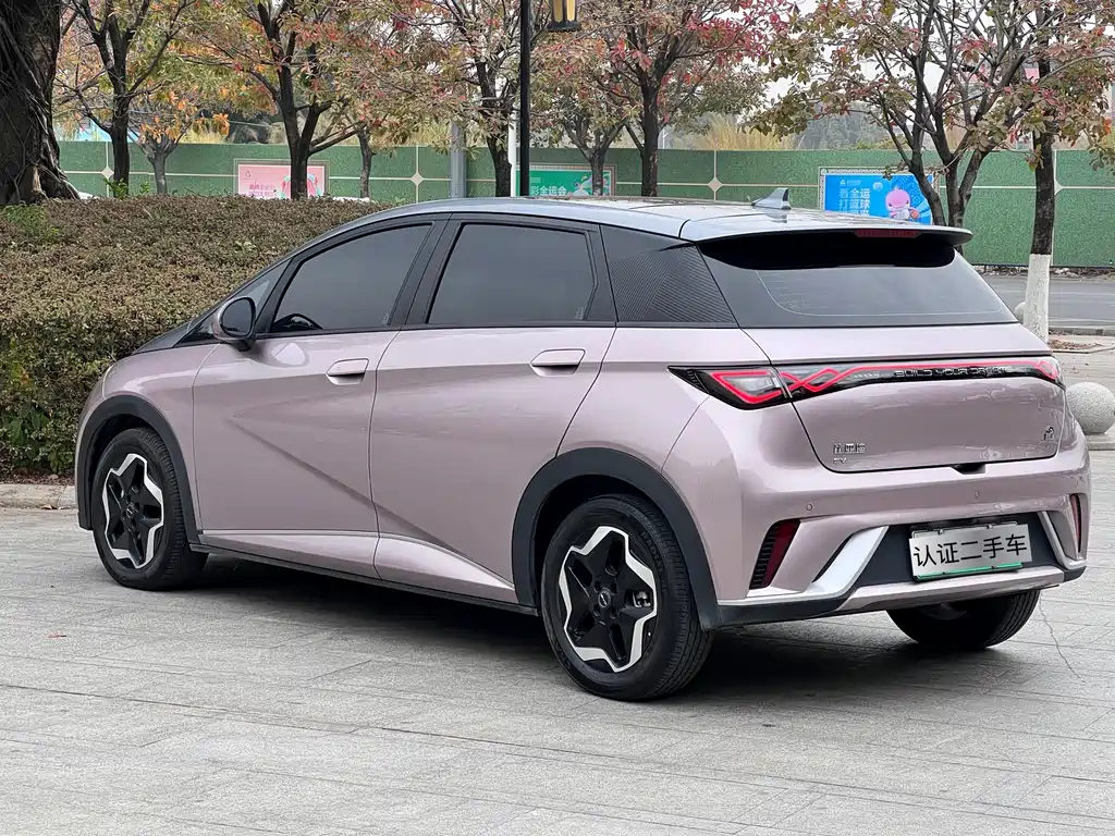 BYD DOLPHIN