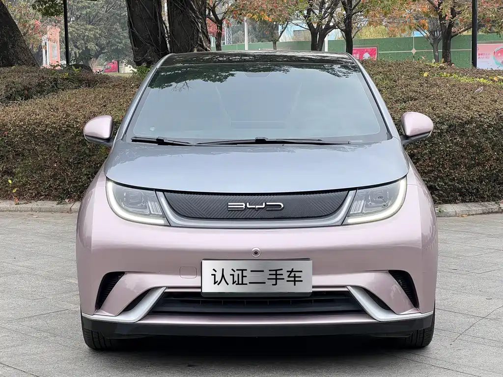 BYD DOLPHIN